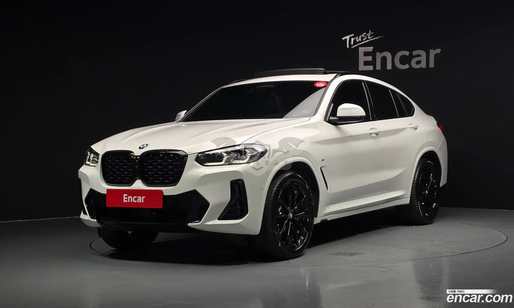 Bmw X4 xDrive20i M Sport Pro Special Edition 2025