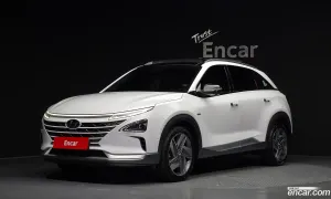Hyundai Nexo Premium 2020