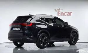 Lexus Nx Premium 2025