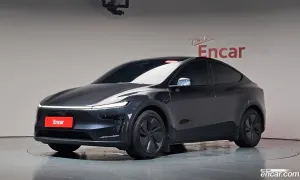 Tesla Model y Long Range AWD 2025