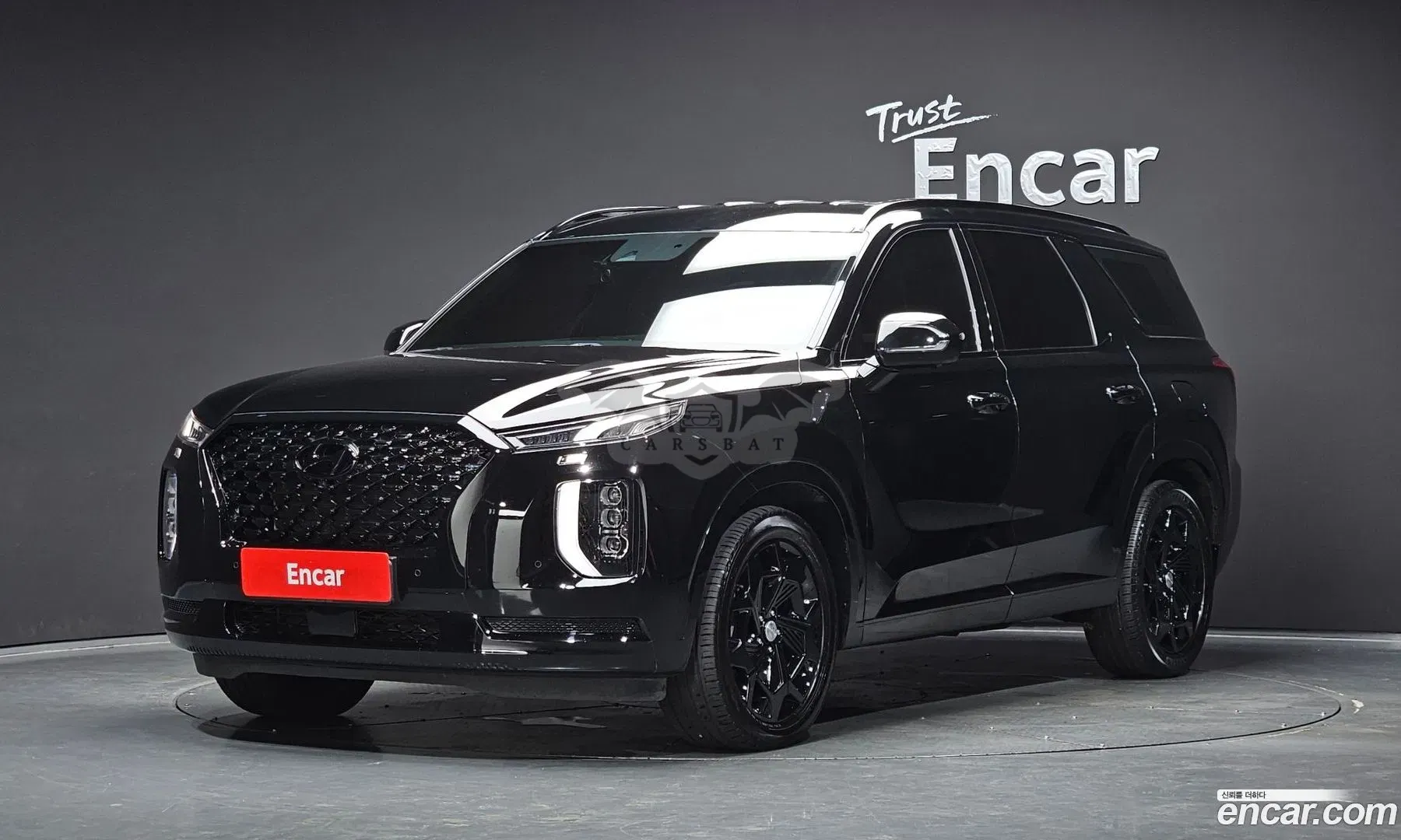 Hyundai Palisade Calligraphy Gasoline 3.8 2WD 2020