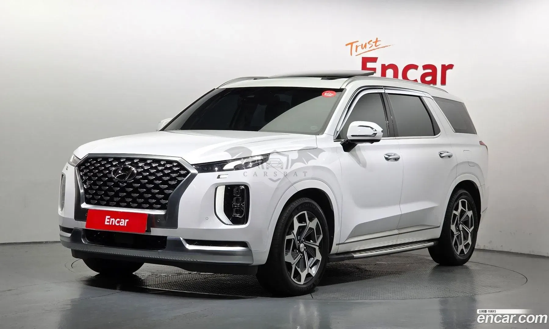 Hyundai Palisade Calligraphy Gasoline 3.8 4WD 2021