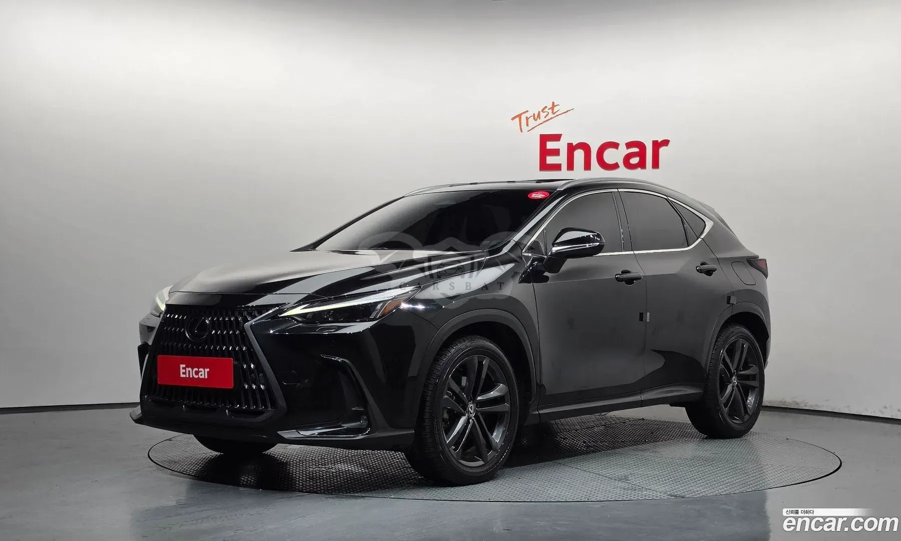 Lexus Nx Premium 2024
