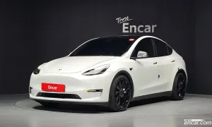 Tesla Model y Performance AWD 2021