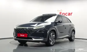 Hyundai Nexo Premium 2019