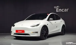 Tesla Model y Performance AWD 2022