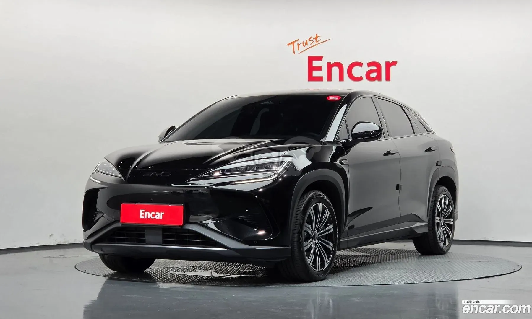 Byd Sealion 7 Base 2025
