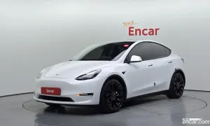 Tesla Model y Performance AWD 2021