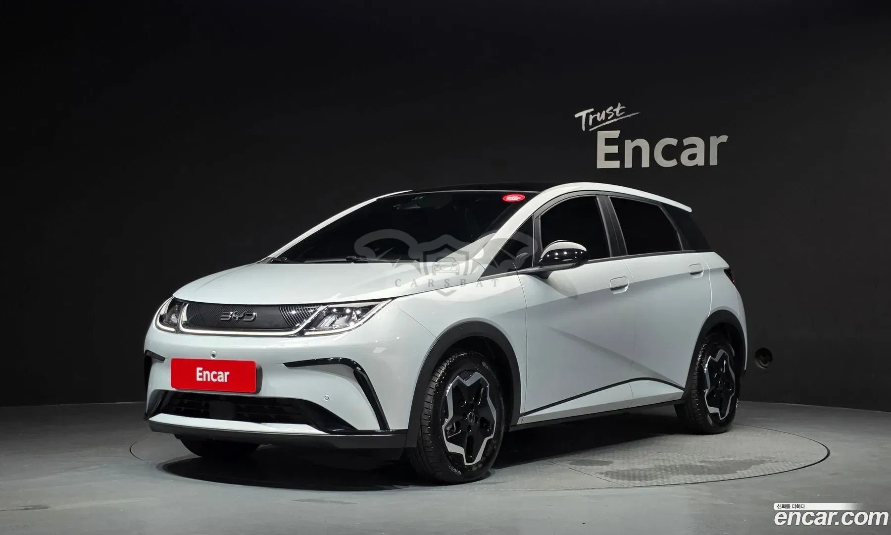 Byd Dolphin Base 2026