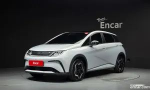 Byd Dolphin Base 2026