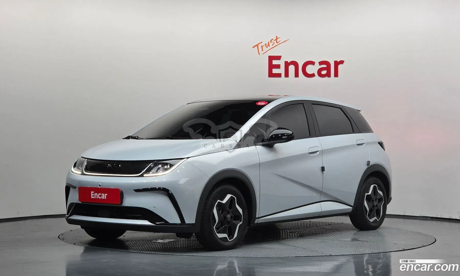 Byd Dolphin Base 2026