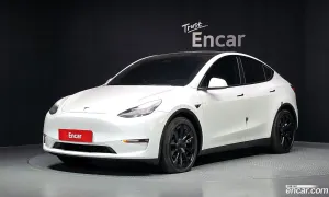 Tesla Model y Long Range AWD 2021