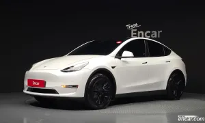 Tesla Model y Standard Range RWD 2021