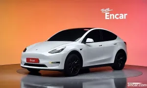 Tesla Model y Long Range AWD 2022
