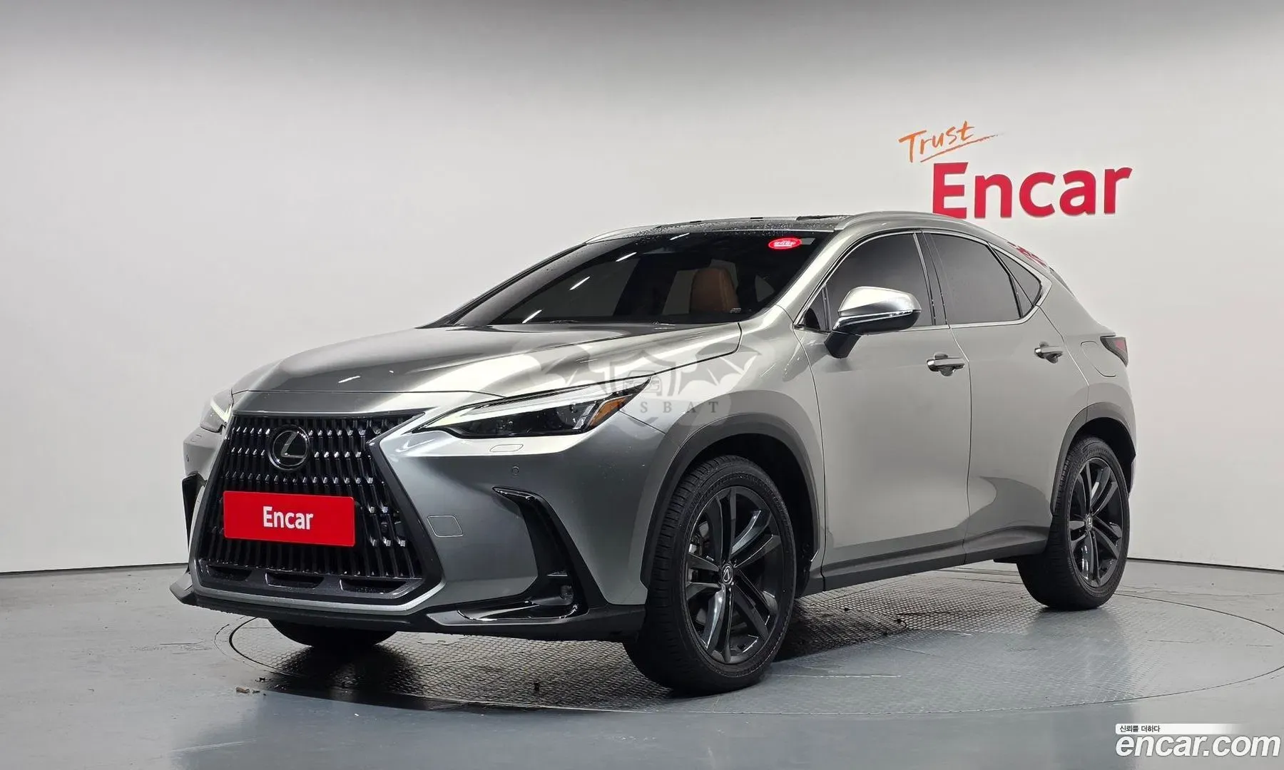 Lexus Nx Premium 2024
