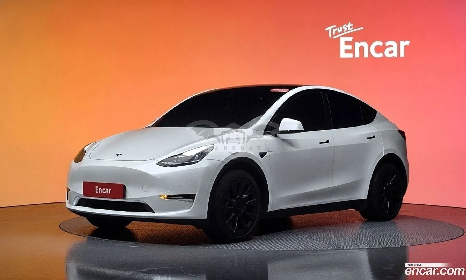 Tesla Model y Standard Range RWD 2021
