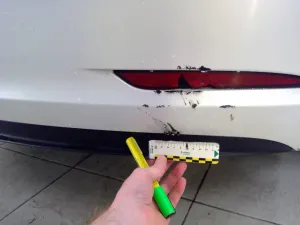 Tesla Model 3 Performance 2021