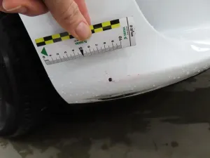 Tesla Model 3 Standard Range Plus 2021