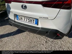 Lexus UX Business 2021