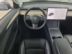 Tesla Model 3 Standard Range Plus 60 kWh 2021