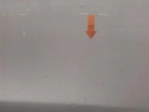 Tesla Model Y Long Range 2023