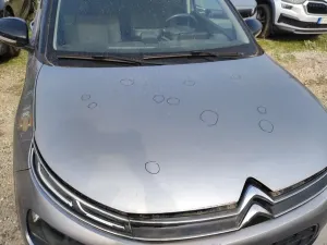 Citroën C4 Cactus Feel 2020