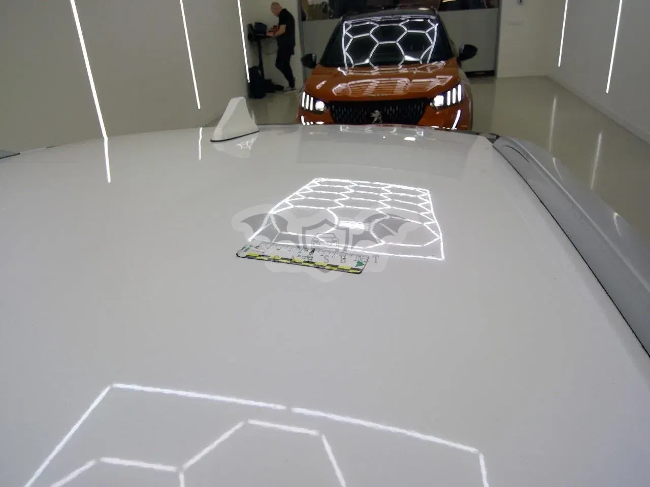 Kia Niro 65 kWh ExecutiveLine 2021