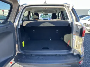 Ford Ecosport 1.0 EcoBoost Business 2019