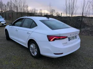 Skoda Octavia 2.0 TDI Business 2022