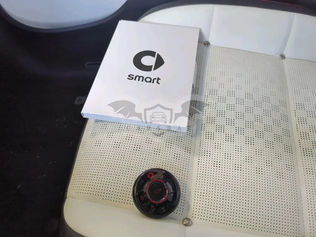 Smart #3 2024