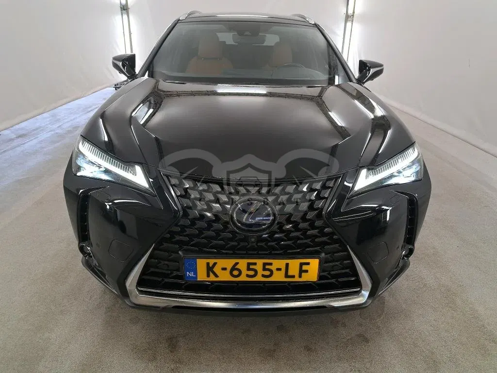 Lexus UX 300e Executive 2020
