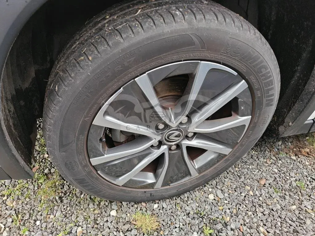Lexus UX 300e Luxury 2020