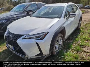 Lexus UX Business 2020