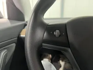 Tesla Model 3 Long Range 75 kWh 2020