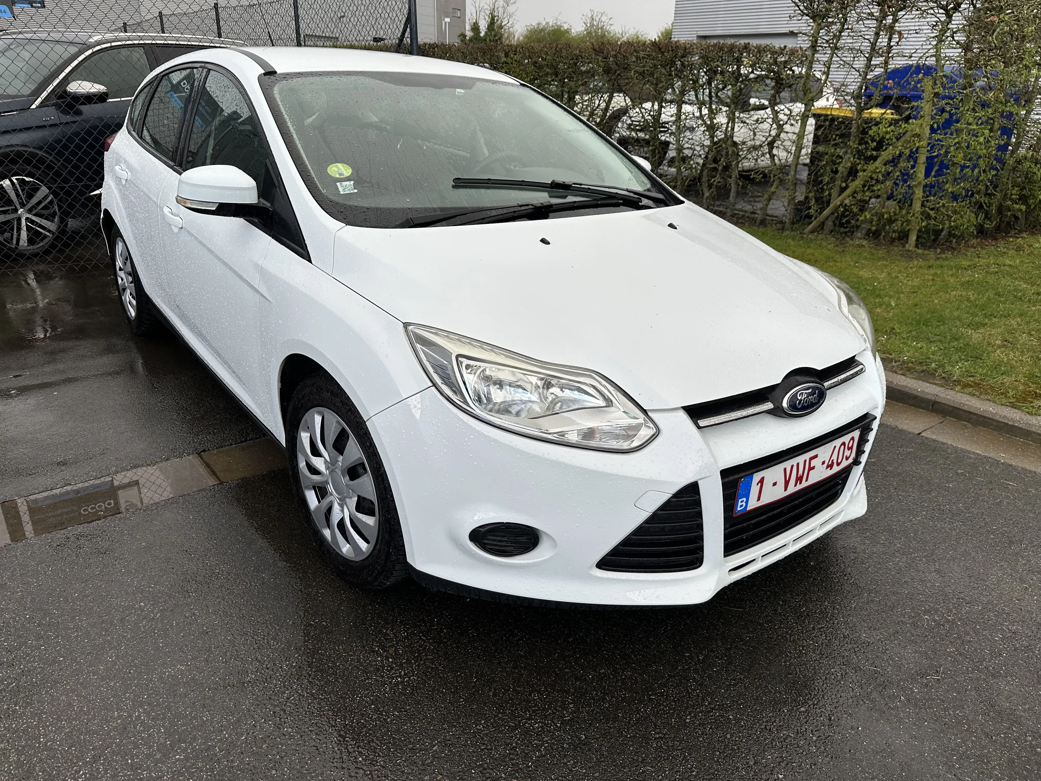 Ford Focus 1.6 TDCI Trend 2013