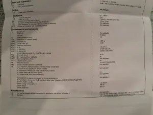 Tesla Model 3 Standard Range Plus 2021