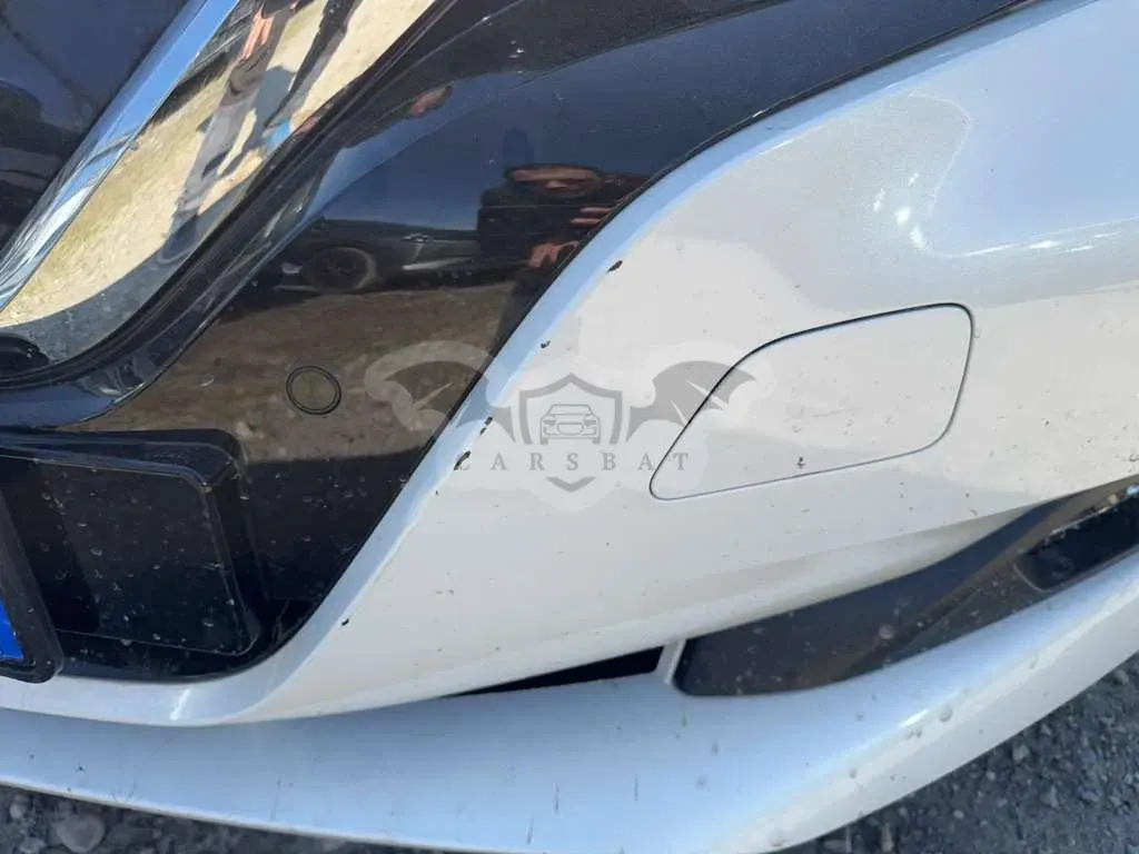 Nissan Leaf Business 2021