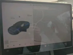 Tesla Model 3 Performance 2021