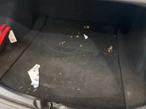 Tesla Model 3 Standard Range Plus 2021