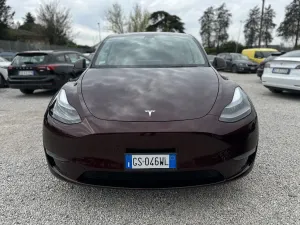Tesla Model Y Performance 2024