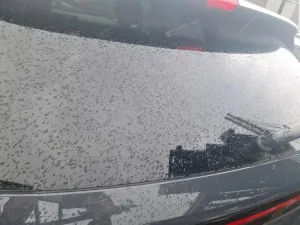 Hyundai Kona 1.6 GDI 2024
