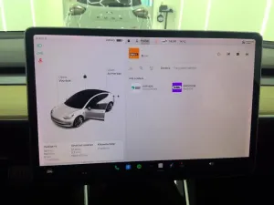 Tesla Model 3 Standard Range Plus 2019