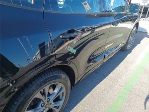 Ford Kuga 1.5 EcoBlue ST Line 2022