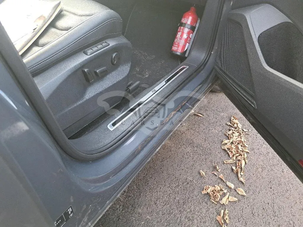 Volkswagen Tiguan 2.0 TDI R-Line 2023