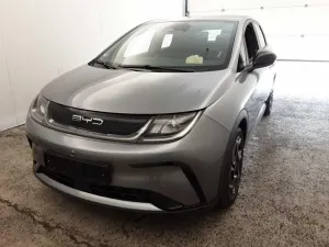 BYD Dolphin Comfort 2024