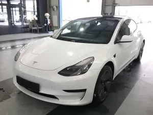 Tesla Model 3 Standard Range 2022