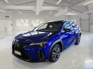 Lexus UX F-Sport 2020