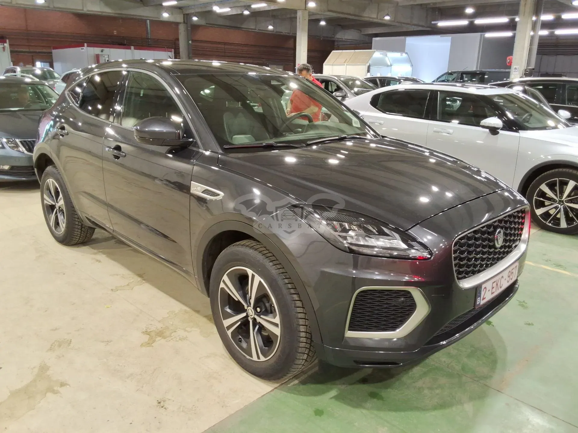 Jaguar E-Pace 1.5 P300e R-Dynamic S 2023