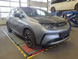 BYD Dolphin 60 kWh Comfort 2024