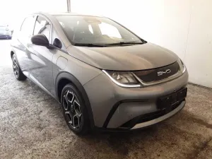 BYD Dolphin 60 kWh Comfort 2024